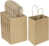 Oikss 100 Pack 5.25×3.25×8.25 Inch Small Plain Natural Paper Kraft Gift Bags with Handles Bulk for B…