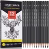 Drawing Sketching Pencils Set, 12 Pack Graphite Pencils(14B – 2H), Ideal for Drawing Art, Sketching,…