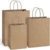 BagDream Kraft Paper Bags 5x3x8& 8×4.25×10& 10x5x13 25 Pcs Each, Gift Bags with Handles, Paper Shopp…