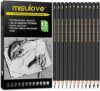 MISULOVE Professional Drawing Sketching Pencil Set – 12 Pieces Art Drawing Graphite Pencils(12B – 4H…