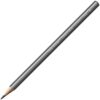 Caran D’ache Grafwood Graphite Pencil – 3B (775.253)