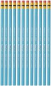 Prismacolor Col-Erase Erasable Colored Pencils, Non-Photo Blue, 12-Count – 20028