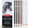 PANDAFLY Charcoal Pencils Drawing Set, 8 Pieces Black White Charcoal Pencils for Sketching, Shading,…