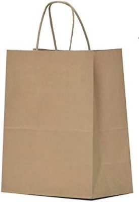 Kraft Paper Gift Bags with Handles - 8x4.5x10 25Pcs Brown