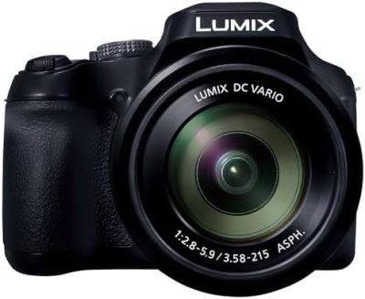 Panasonic LUMIX FZ80D Compact Camera with 20-1200mm Zoom Lens, Point