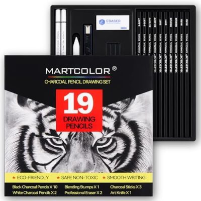 Charcoal Drawing Set, 19 Pieces, Black & White Charcoal Pencils