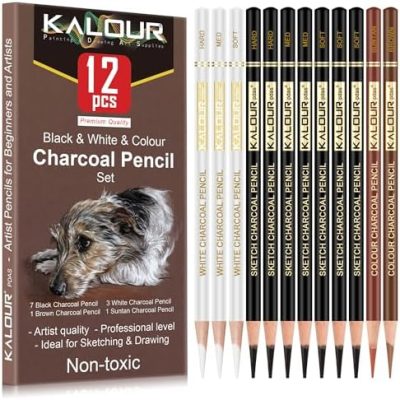 KALOUR Professional Colored Charcoal Pencils Drawing Set,12 Pieces Pastel Chalk