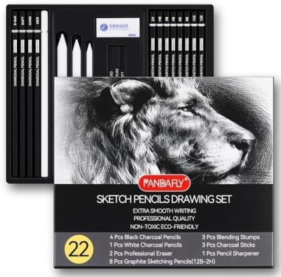PANDAFLY Drawing Sketching Pencil Set, 22 Piece Pro Art Pencil