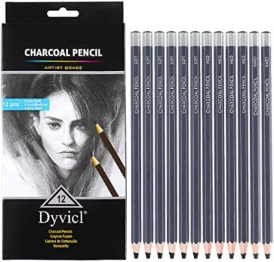 Dyvicl Professional Charcoal Pencils Drawing Set - 12 Pieces Soft,